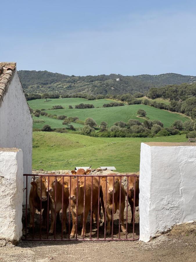 Casa Rural Bini Aumaia Es Mercadal Extérieur photo